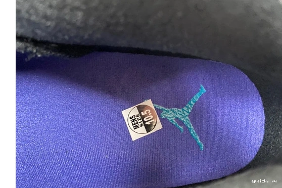 Rep EP Aqua CT8529-004  Jordan  CT8529-004 Retro 6 0318